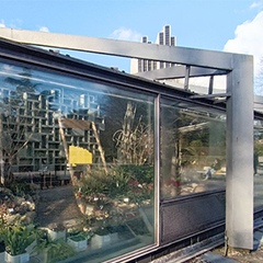 Untersuchungen, Planten und Bloomen, Hamburg